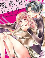 Truyện Căn Ký Túc Xá Của Riêng Tôi