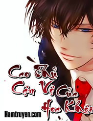 Truyện Cao Thủ Cận Vệ Của Hoa Khôi