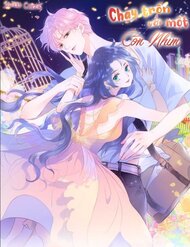 Truyện Chạy Trốn Cùng Con Nhím