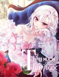 Truyện Để Yên Cho Tiểu Thư Hiền
