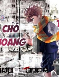 Truyện Đội Thám Tử Chó Hoang Và Đèn Dầu