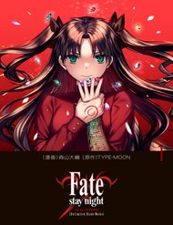 Truyện Fate/Stay Night: Unlimited Blade Works