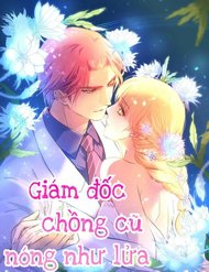 Truyện Giám Đốc Chồng Cũ Nóng Như Lửa