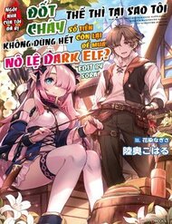 Truyện Ie Ga Moete Jinsei Dou Demo Yoku Natta Kara, Nokotta Nakenashi No Kin De Dark Elf No Dorei O Katta