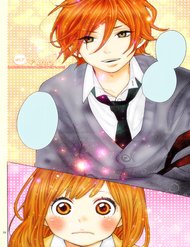 Truyện Koisuru Harinezumi