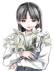 Truyện Madonna Lily
