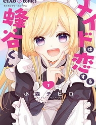 Truyện Maid Wa Koisuru Hachiya-Kun
