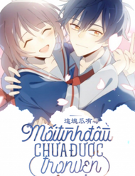 Truyện Mối Tình Đầu Chưa Được Trọn Vẹn