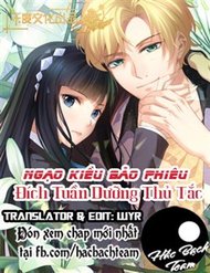 Truyện Ngạo Kiều Bảo Phiêu Đích Tuần Dưỡng Thủ Tắt