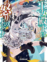 Truyện Ojou Denka Wa Oikari No You Desu