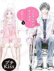 Truyện Perfect World (Aruga Rie)