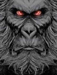 Truyện Tái Sinh Viên