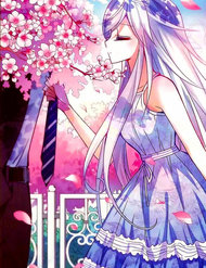 Truyện Tô Tịch Kỳ Quái