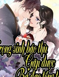 Truyện Trọng Sinh Báo Thù Gặp Được Bá Đạo Tổng Tài
