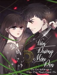 Truyện Viên Đường Màu Đen